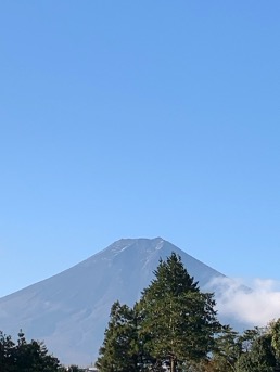 Default image